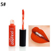 Waterproof Lip Gloss Long Lasting Lipstick